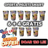 OFERTA Speciala Peleti Smart 6 + 4 GRATIS
